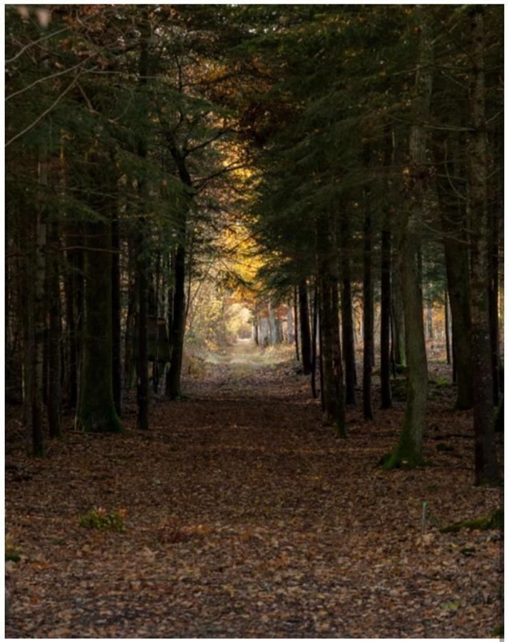 Les Chatelliers Bouzy-la-Foret Luaran gambar