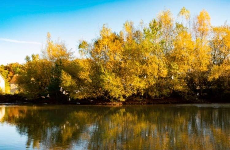 Les Chatelliers Bouzy-la-Foret Luaran gambar