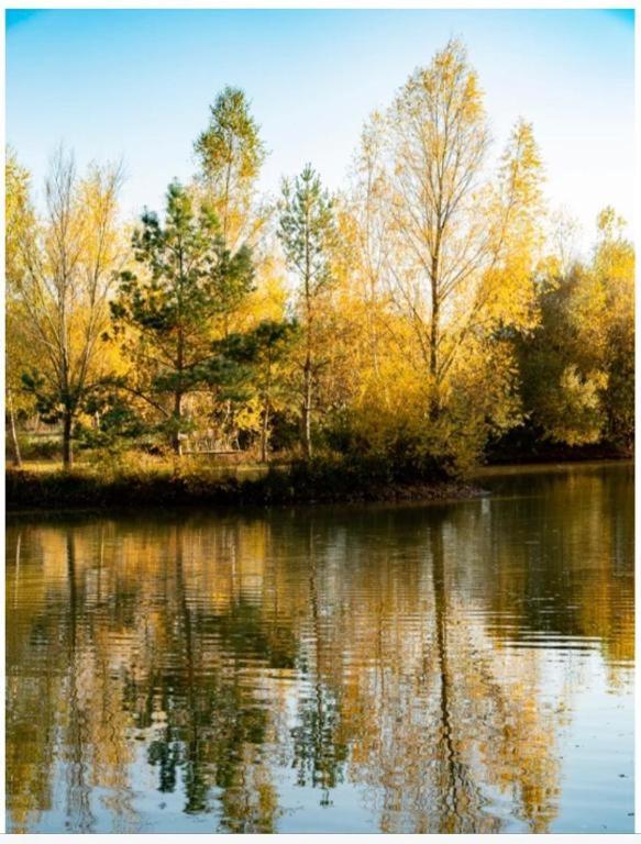 Les Chatelliers Bouzy-la-Foret Luaran gambar